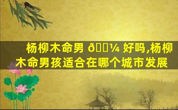 杨柳木命男 🐼 好吗,杨柳木命男孩适合在哪个城市发展